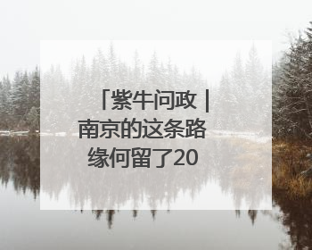 紫牛问政｜南京的这条路缘何留了200米不种树